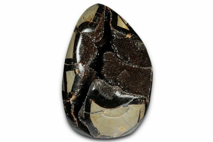 Free-Standing, Polished Septarian Geode - Black Crystals #348950